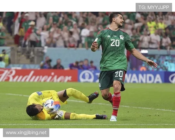 卡塔尔世界杯作文世界杯体育论坛